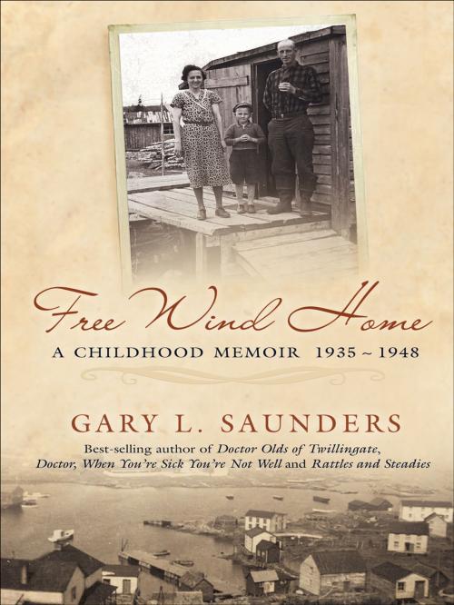 Cover of the book Free Wind Home by Gary Saunders, Breakwater Books Ltd