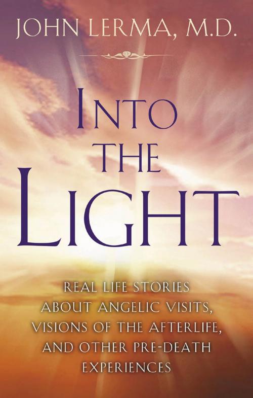 Cover of the book Into the Light by John Lerma, Red Wheel Weiser