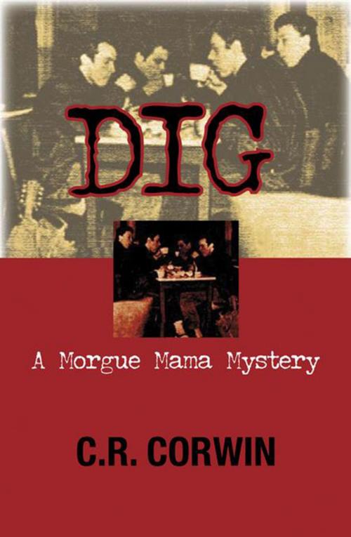 Cover of the book Dig by C R Corwin, Sourcebooks