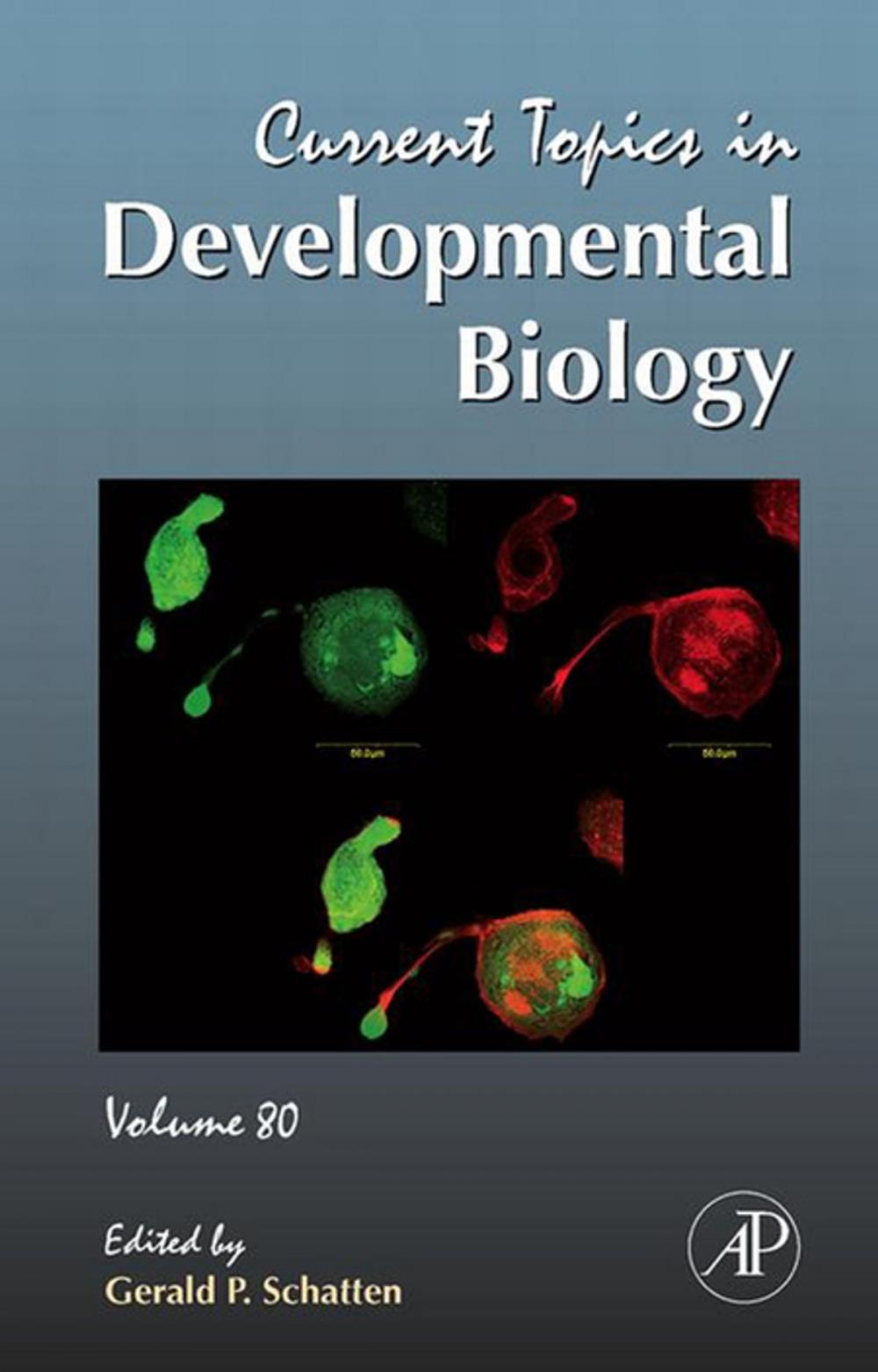 Big bigCover of Current Topics in Developmental Biology