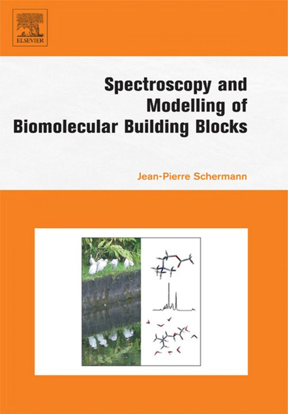 Big bigCover of Spectroscopy and Modeling of Biomolecular Building Blocks