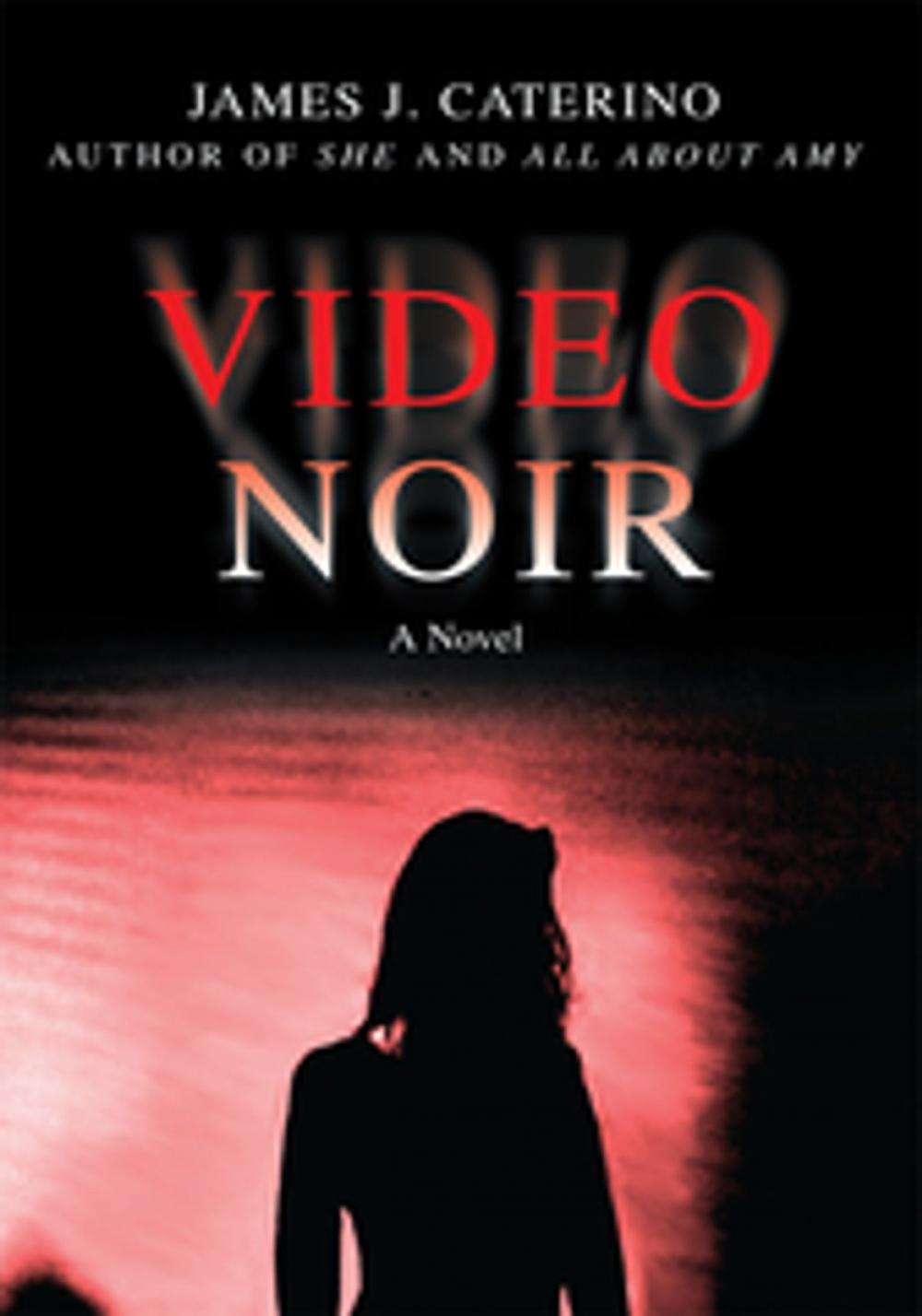 Big bigCover of Video Noir