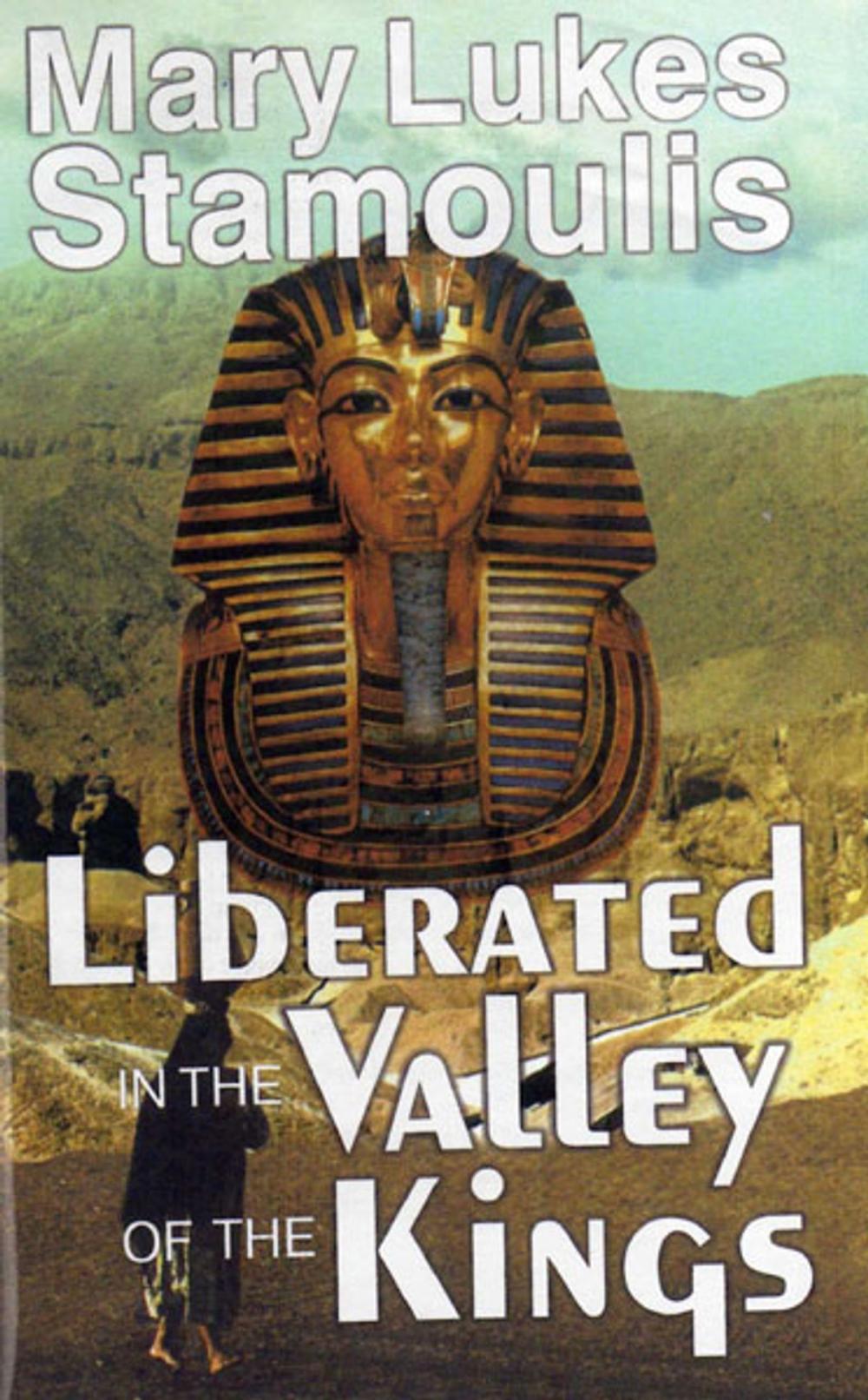 Big bigCover of Liberated in the Valley of the Kings