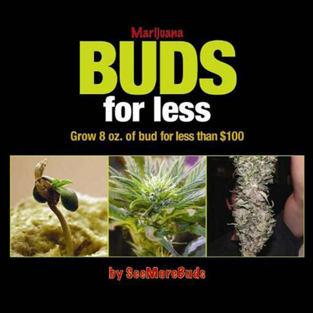 Big bigCover of Marijuana Buds for Less