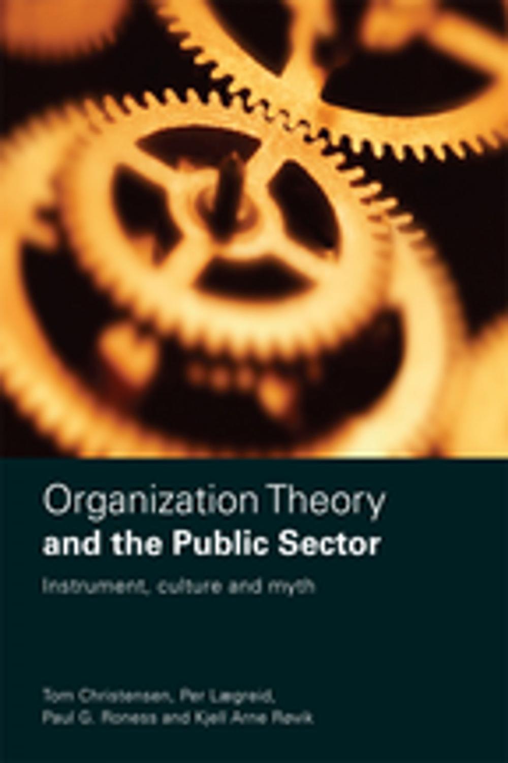 Big bigCover of Organization Theory and the Public Sector