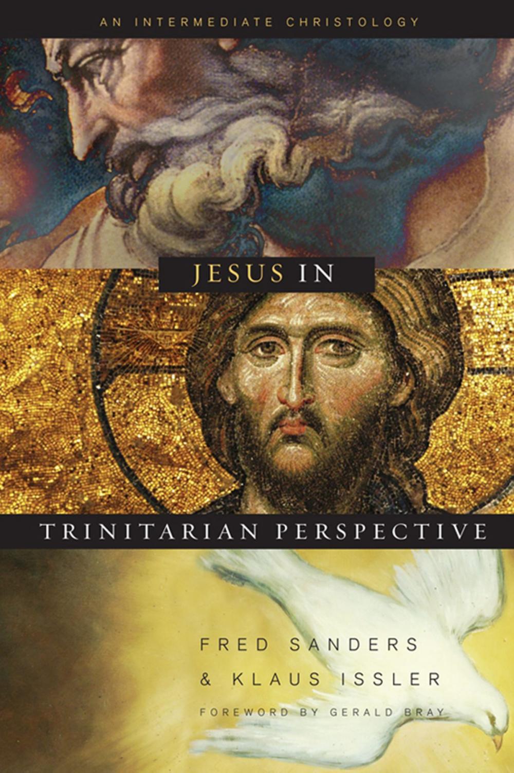 Big bigCover of Jesus in Trinitarian Perspective