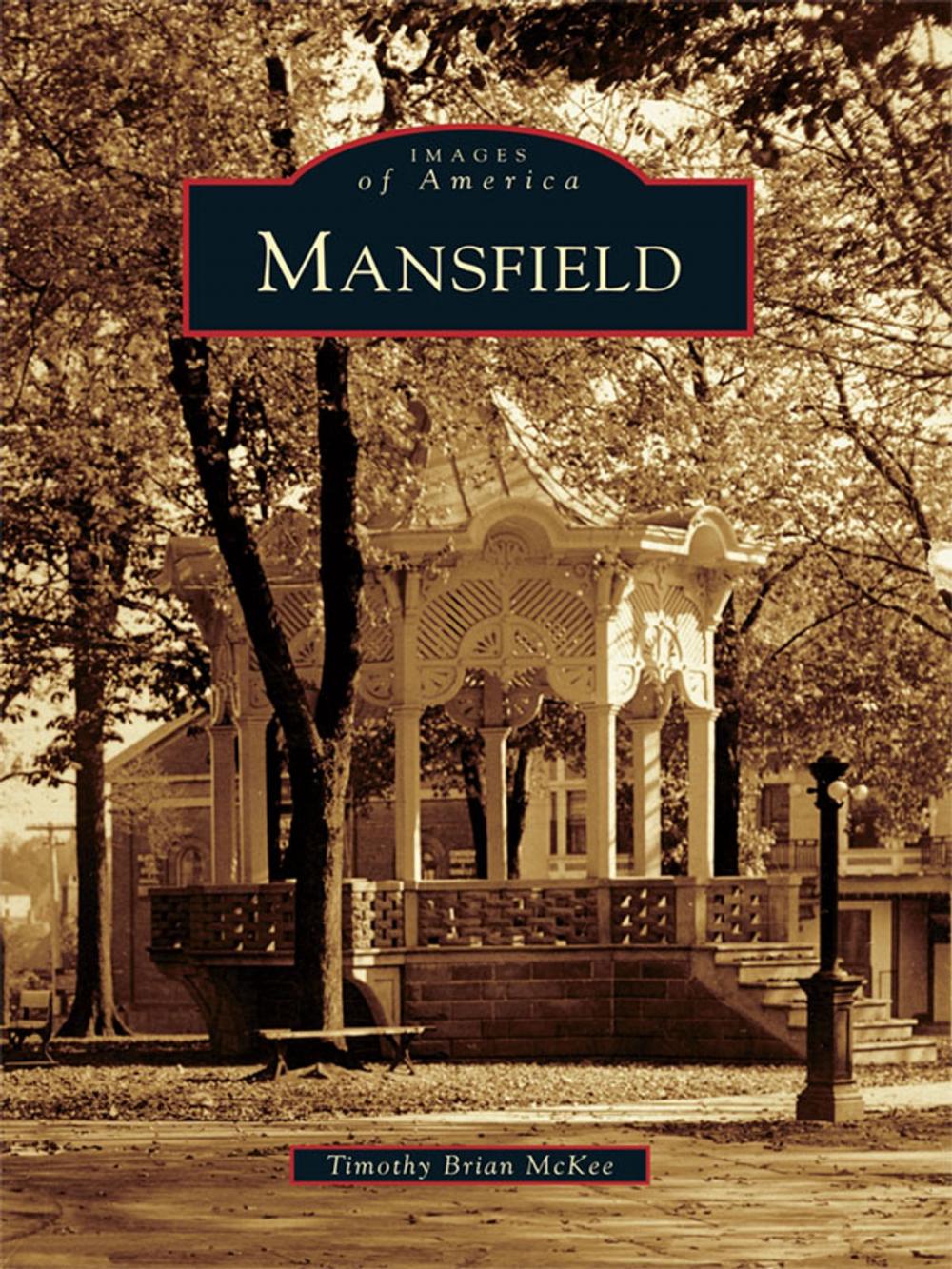 Big bigCover of Mansfield