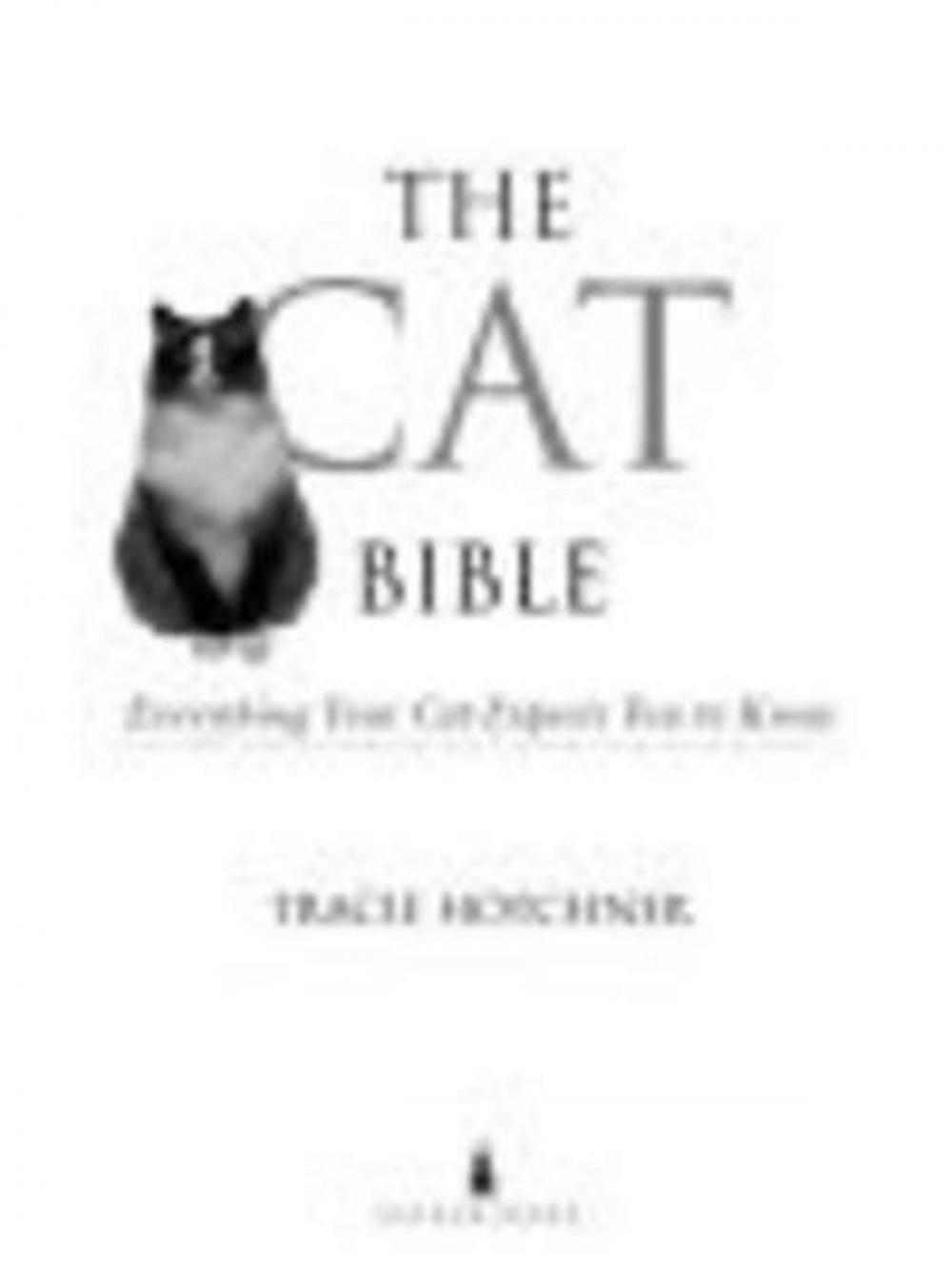 Big bigCover of The Cat Bible