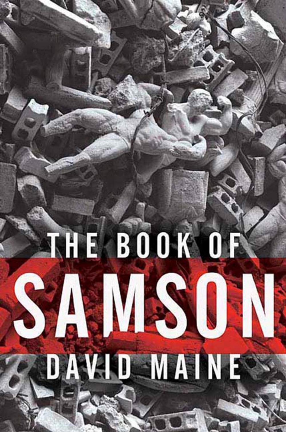 Big bigCover of The Book of Samson