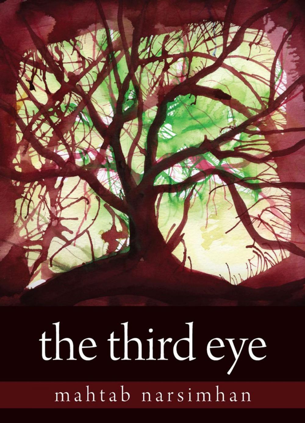 Big bigCover of The Third Eye