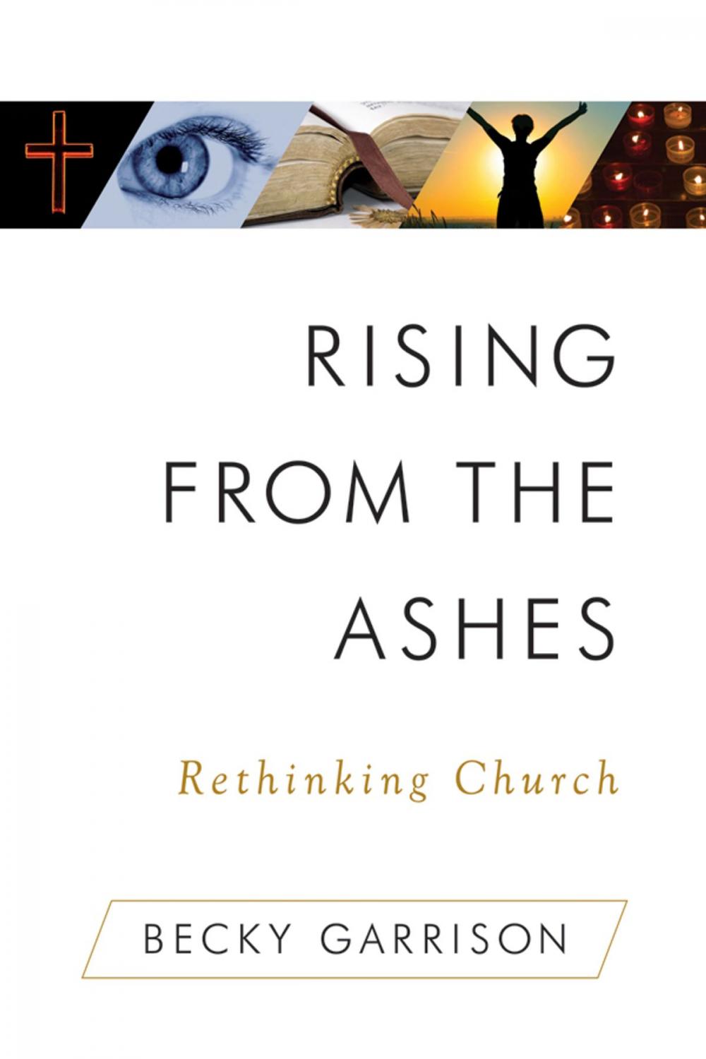 Big bigCover of Rising From the Ashes