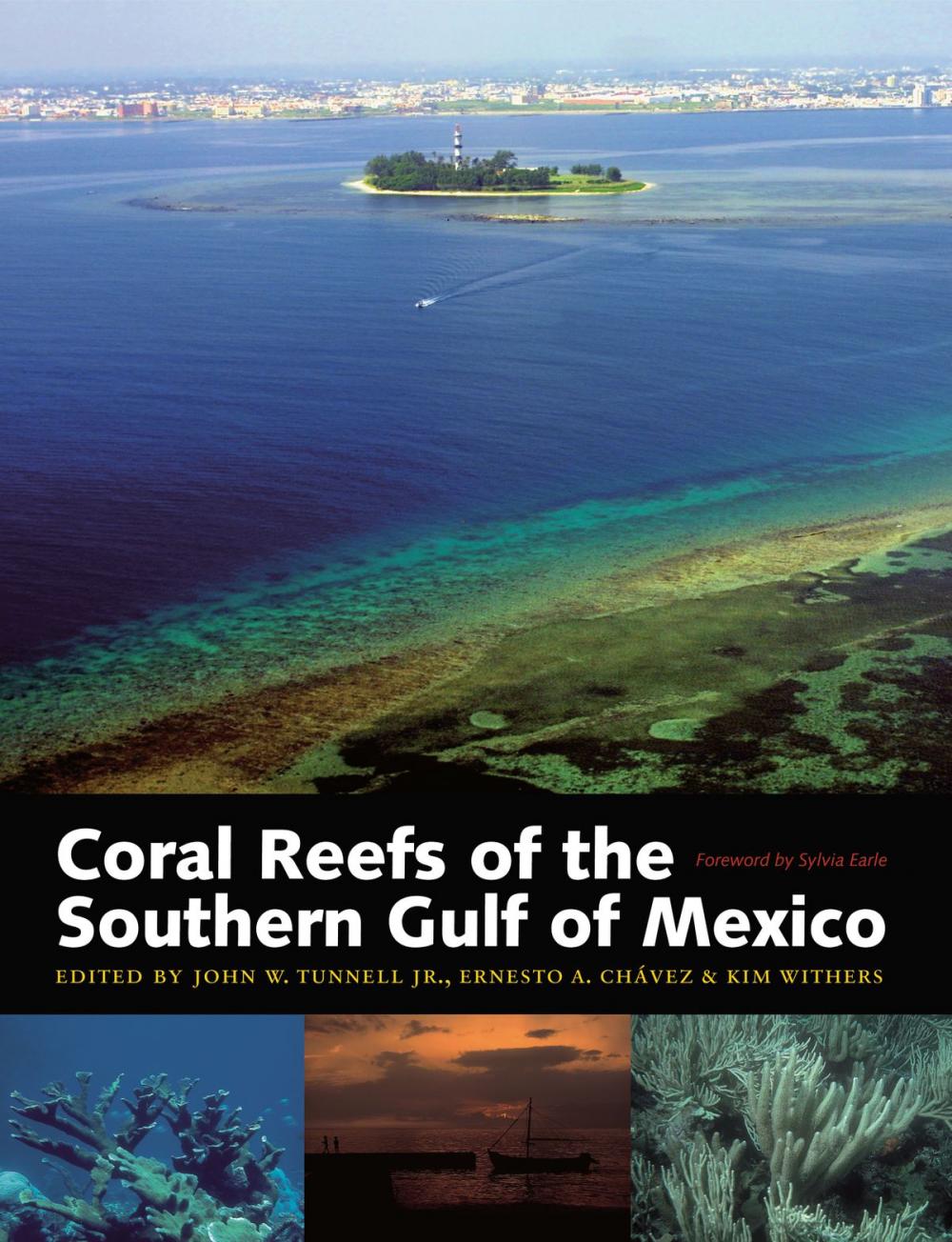 Big bigCover of Coral Reefs of the Southern Gulf of Mexico