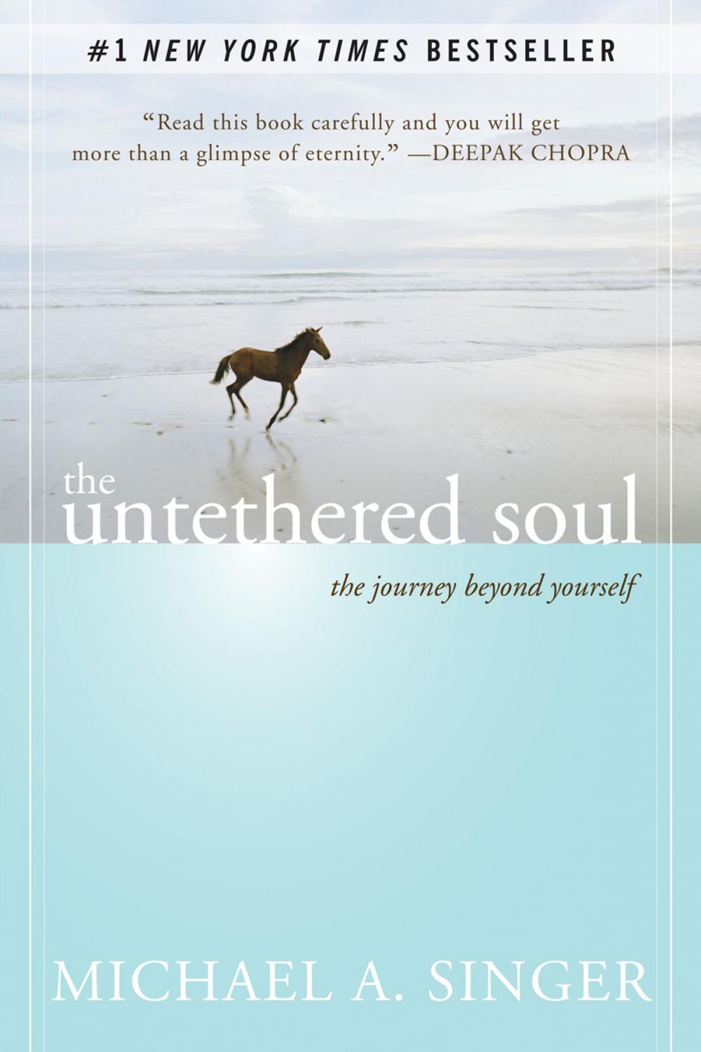 Big bigCover of The Untethered Soul