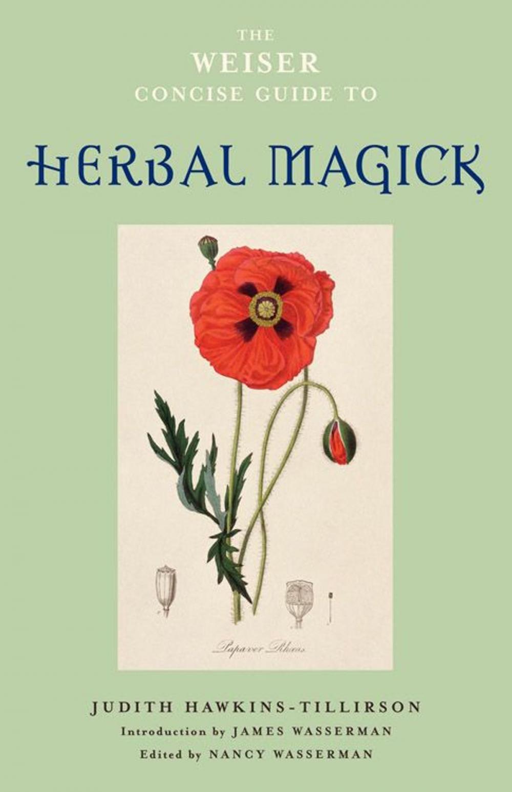 Big bigCover of The Weiser Concise Guide to Herbal Magick