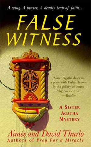 Cover of the book False Witness by Robin Lovett