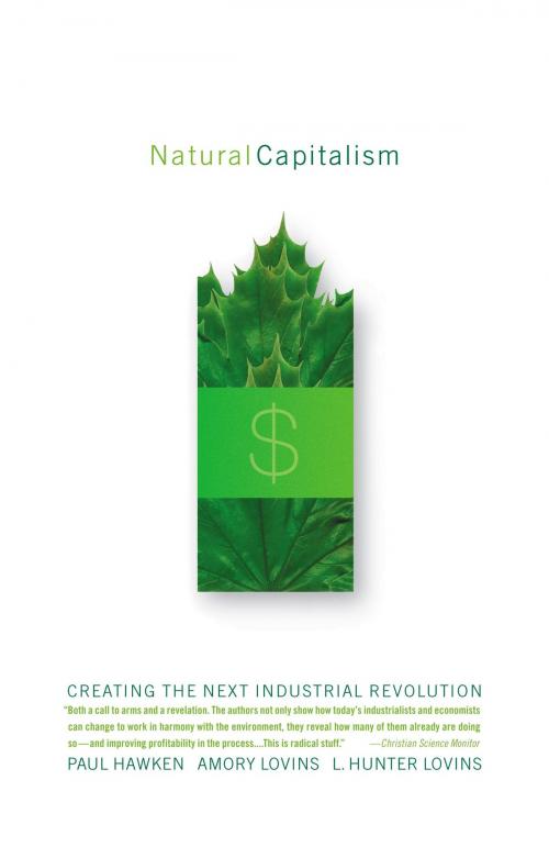 Cover of the book Natural Capitalism by L. Hunter Lovins, Amory Lovins, Paul Hawken, Little, Brown and Company