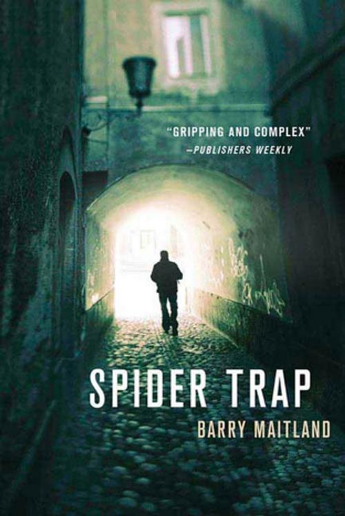 Cover of the book Spider Trap by Barry Maitland, St. Martin's Press