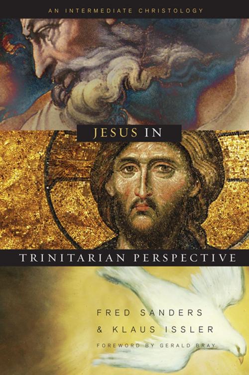 Cover of the book Jesus in Trinitarian Perspective by Donald Fairbairn, Garrett DeWeese, Scott Horrell, Bruce Ware, B&H Publishing Group