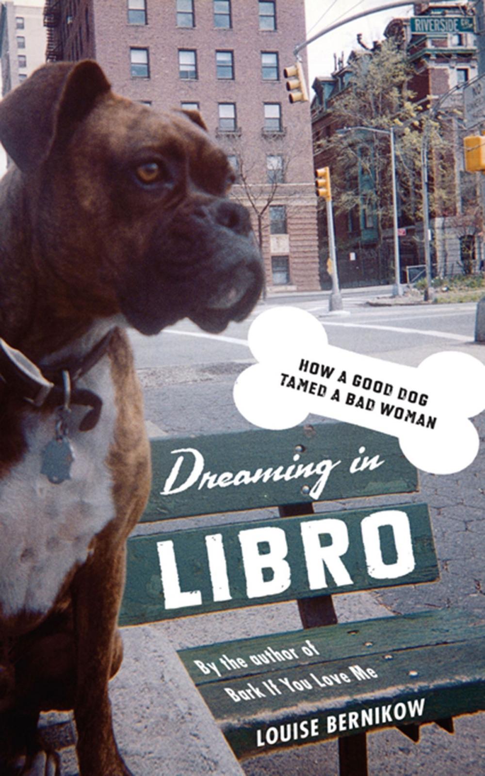 Big bigCover of Dreaming in Libro