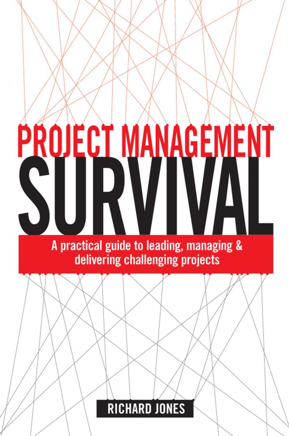 Big bigCover of Project Management Survival