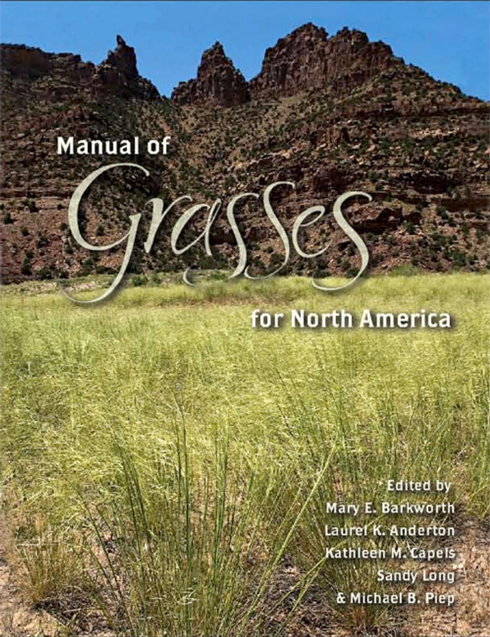 Big bigCover of Manual of Grasses for North America