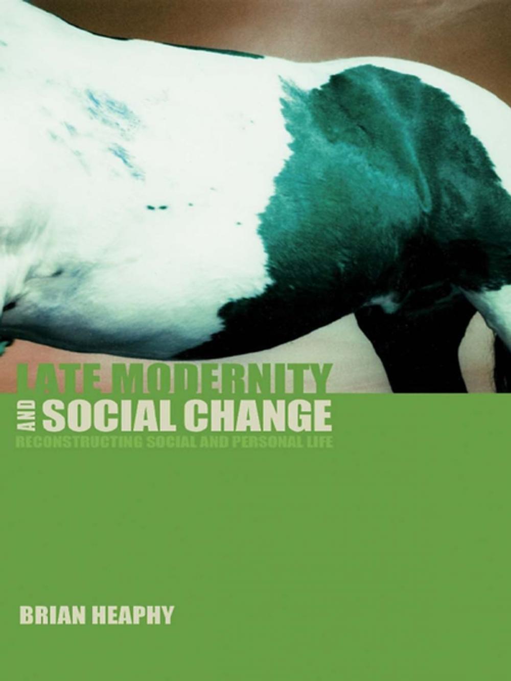 Big bigCover of Late Modernity and Social Change