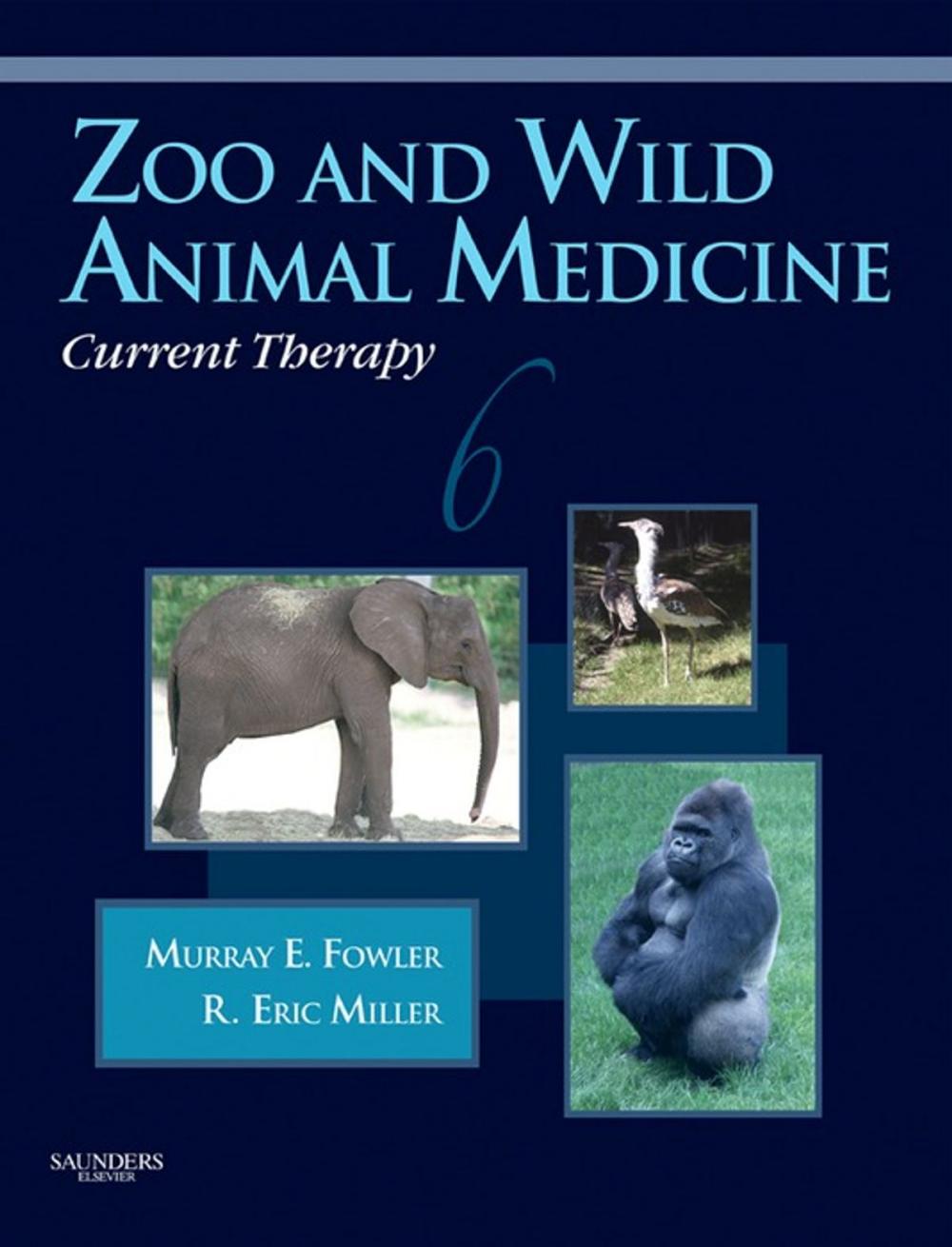 Big bigCover of Zoo and Wild Animal Medicine Current Therapy - E-Book