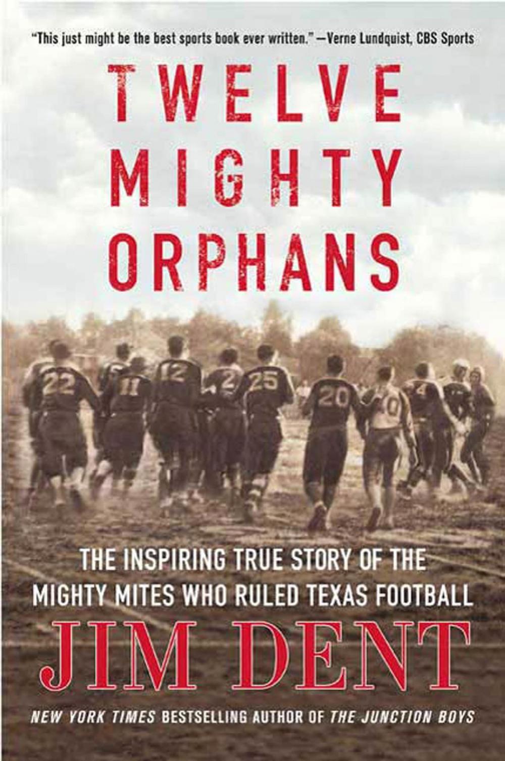 Big bigCover of Twelve Mighty Orphans