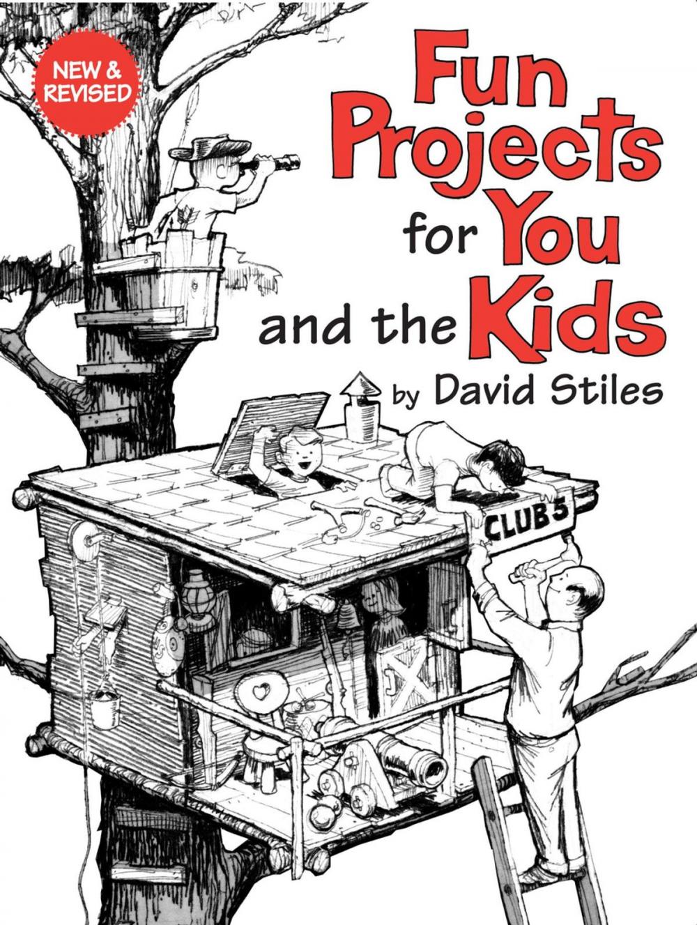 Big bigCover of Fun Projects for You and the Kids