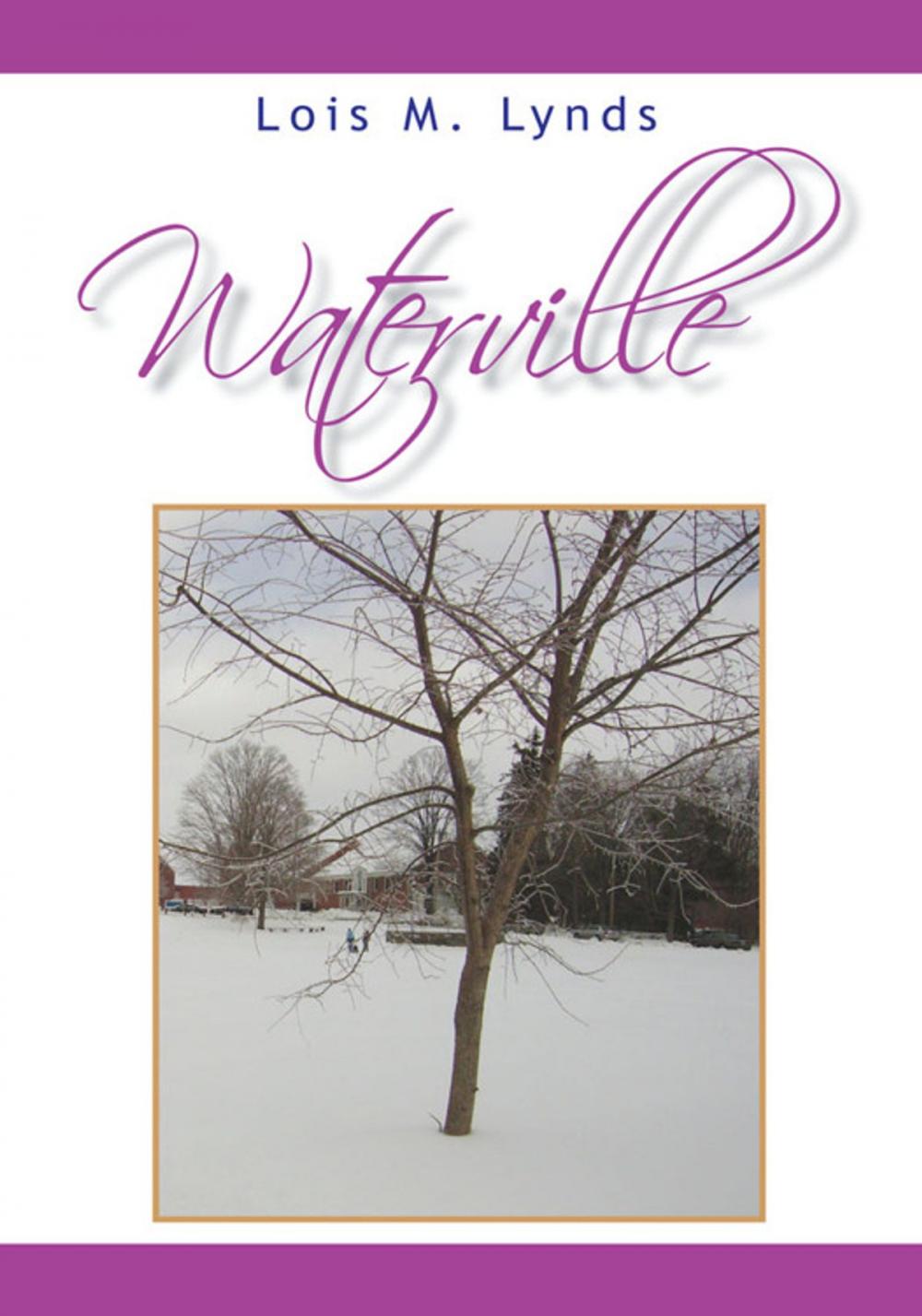 Big bigCover of Waterville