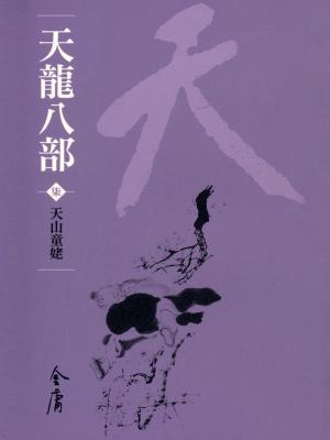 Cover of the book 天山童姥 by Jen Katemi