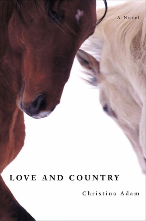 Cover of the book Love and Country by Christina Adam, Little, Brown and Company