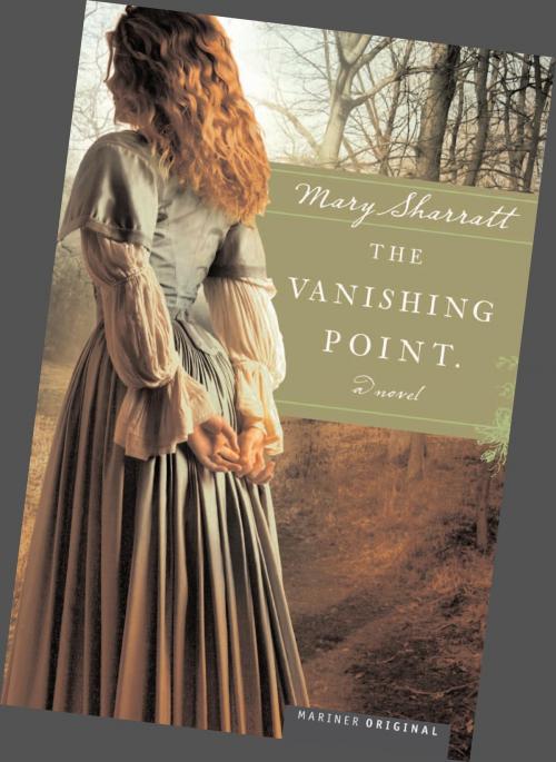 Cover of the book The Vanishing Point by Louise Hawes, HMH Books