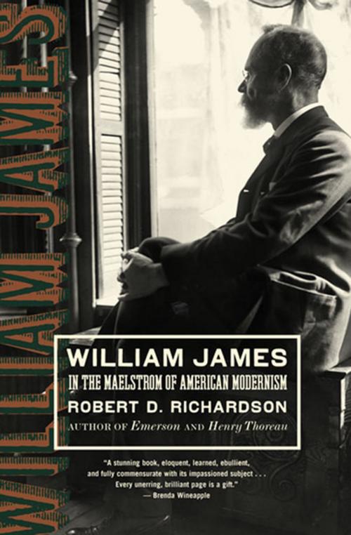 Cover of the book William James by Robert D. Richardson, Houghton Mifflin Harcourt