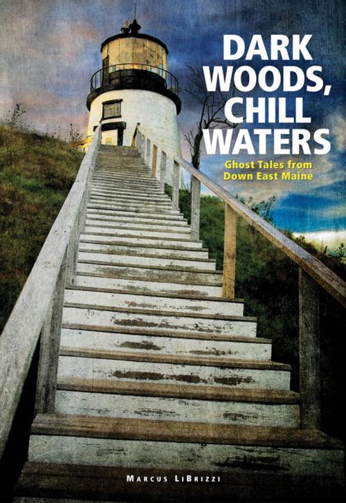 Cover of the book Dark Woods, Chill Waters by Marcus LiBrizzi, Down East Books