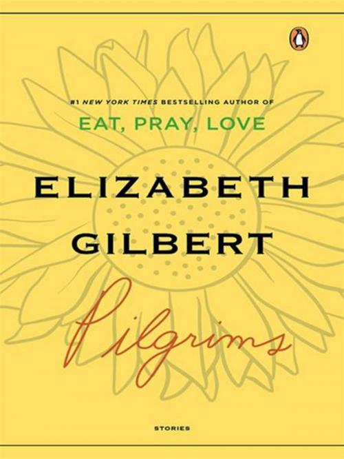 Cover of the book Pilgrims by Elizabeth Gilbert, Penguin Publishing Group