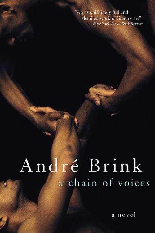 Cover of the book A Chain of Voices by Andre Brink, Sourcebooks