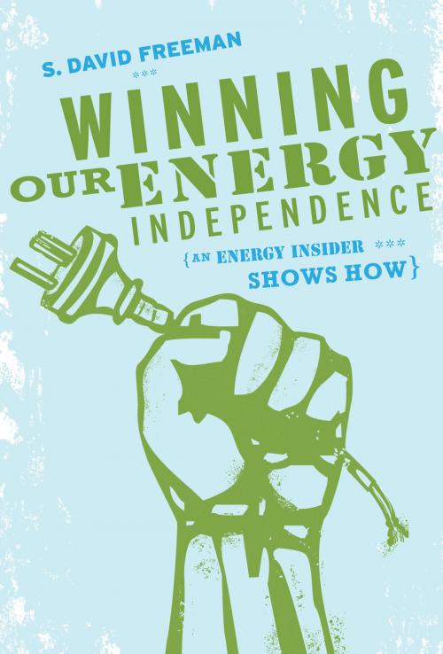 Cover of the book Winning Our Energy Independence by David Freeman, Gibbs Smith