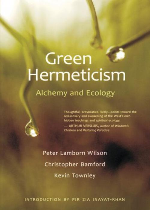 Cover of the book Green Hermeticism: Alchemy and Ecology by Peter Lamborn Wilson, Christopher Bamford, SteinerBooks