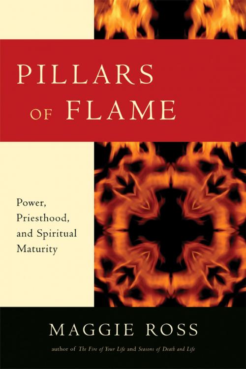 Cover of the book Pillars of Flame by Maggie Ross, Church Publishing Inc.