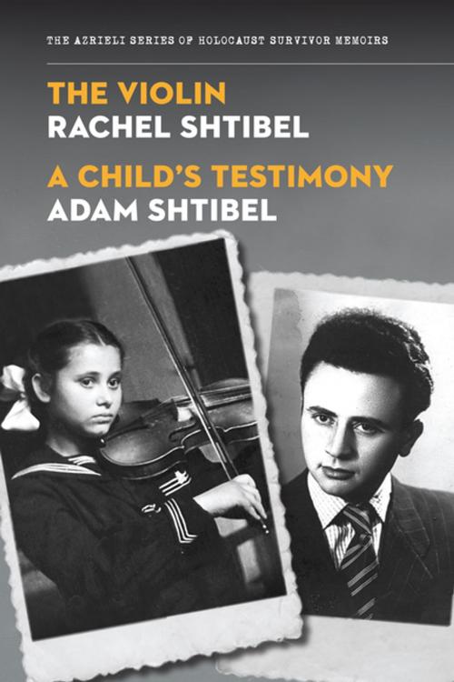 Cover of the book The Violin/A Child's Testimony by Rachel Shtibel, Adam Shtibel, The Azrieli Foundation