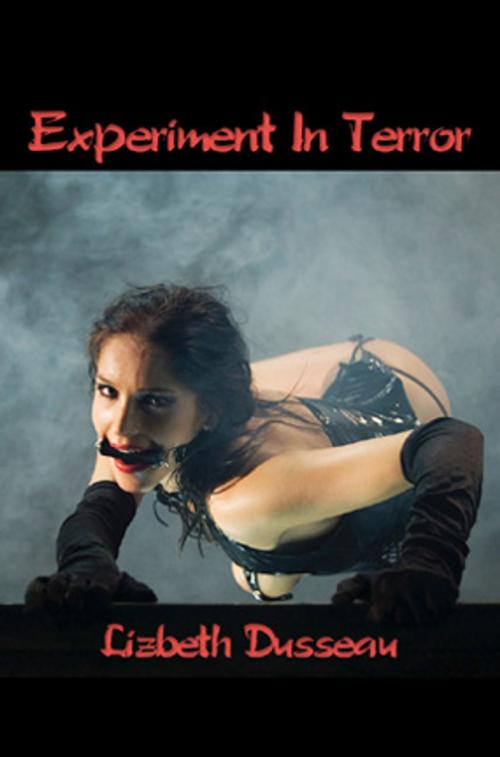 Cover of the book Experiment In Terror by Lizbeth Dusseau, Pink Flamingo Publications