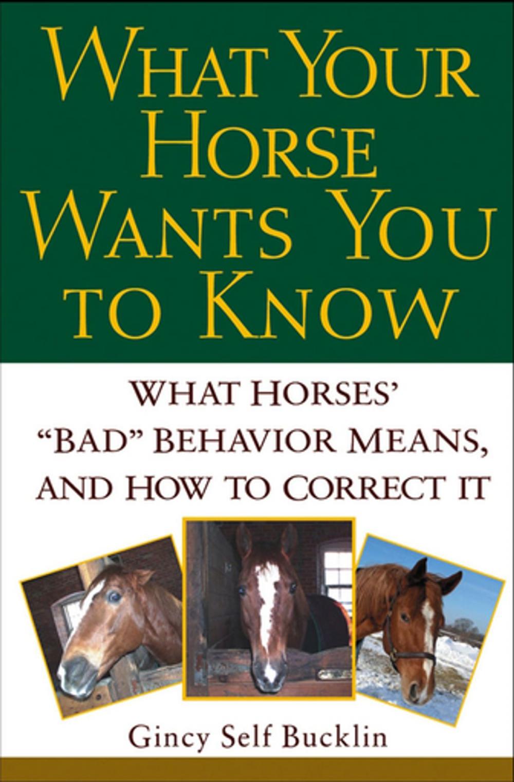 Big bigCover of What Your Horse Wants You to Know