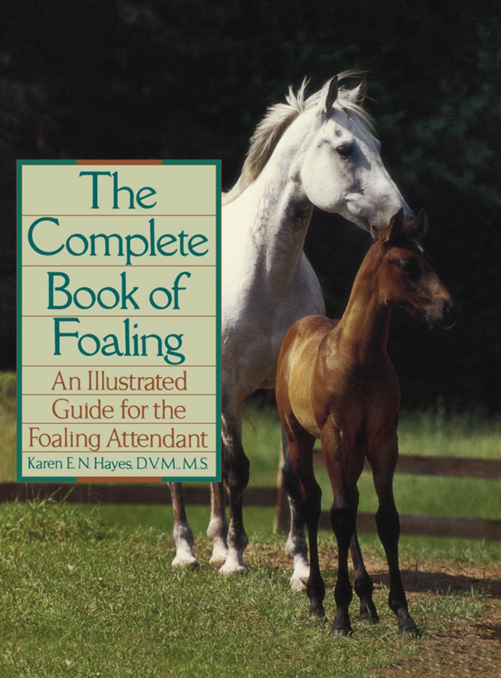 Big bigCover of The Complete Book of Foaling