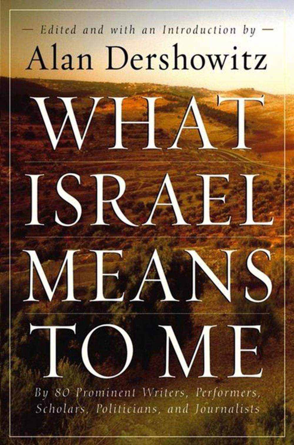 Big bigCover of What Israel Means to Me