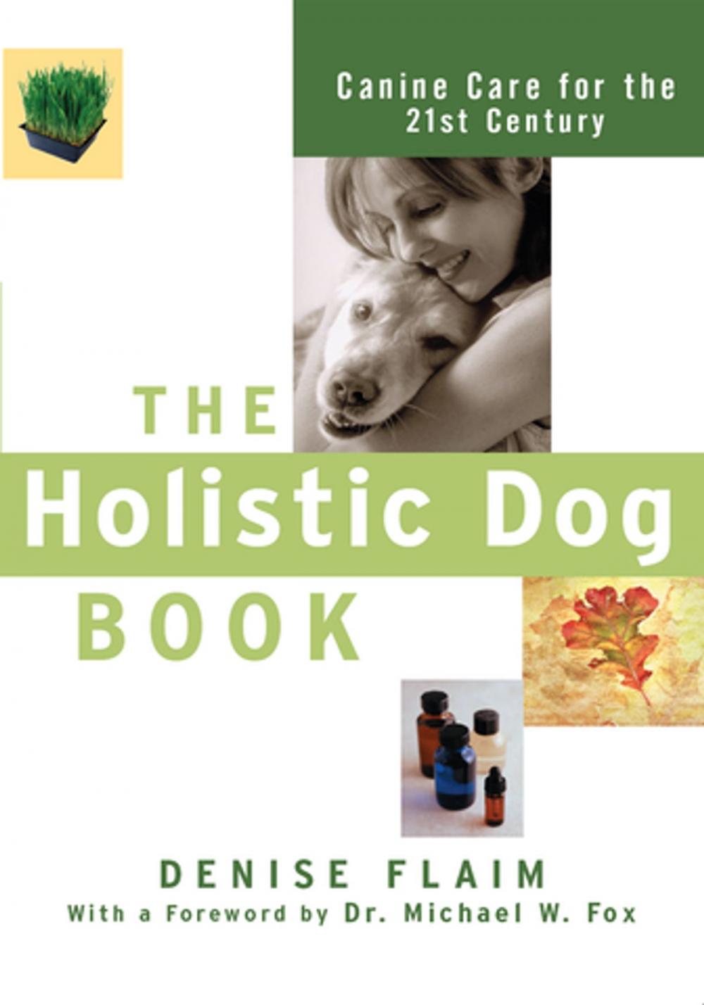 Big bigCover of The Holistic Dog Book