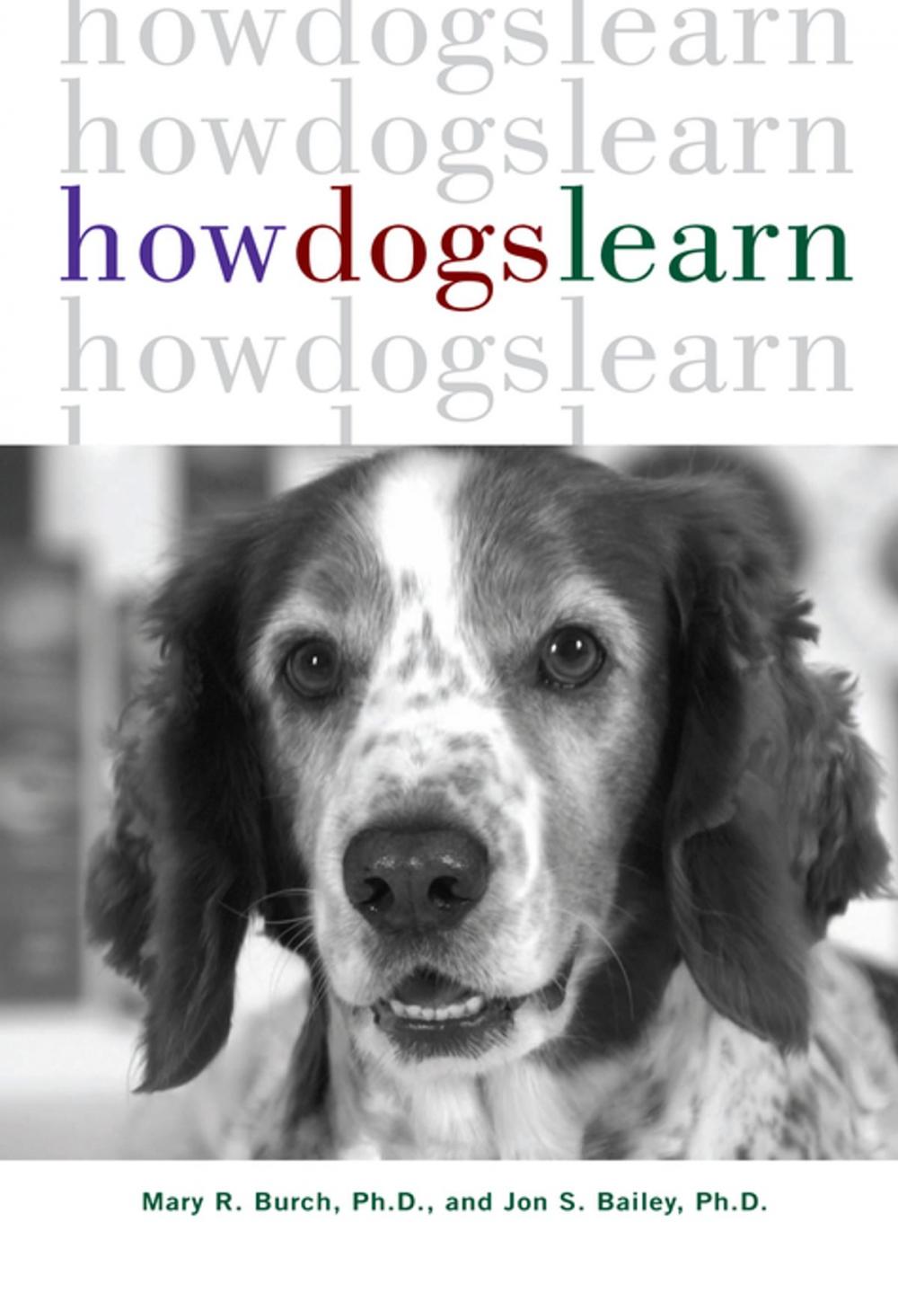 Big bigCover of How Dogs Learn