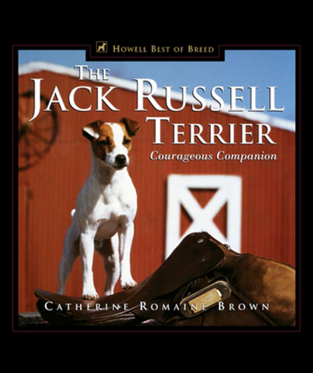 Big bigCover of The Jack Russell Terrier