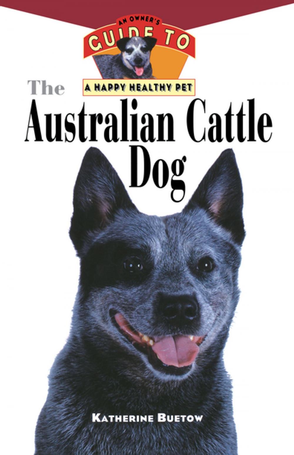 Big bigCover of The Australian Cattle Dog