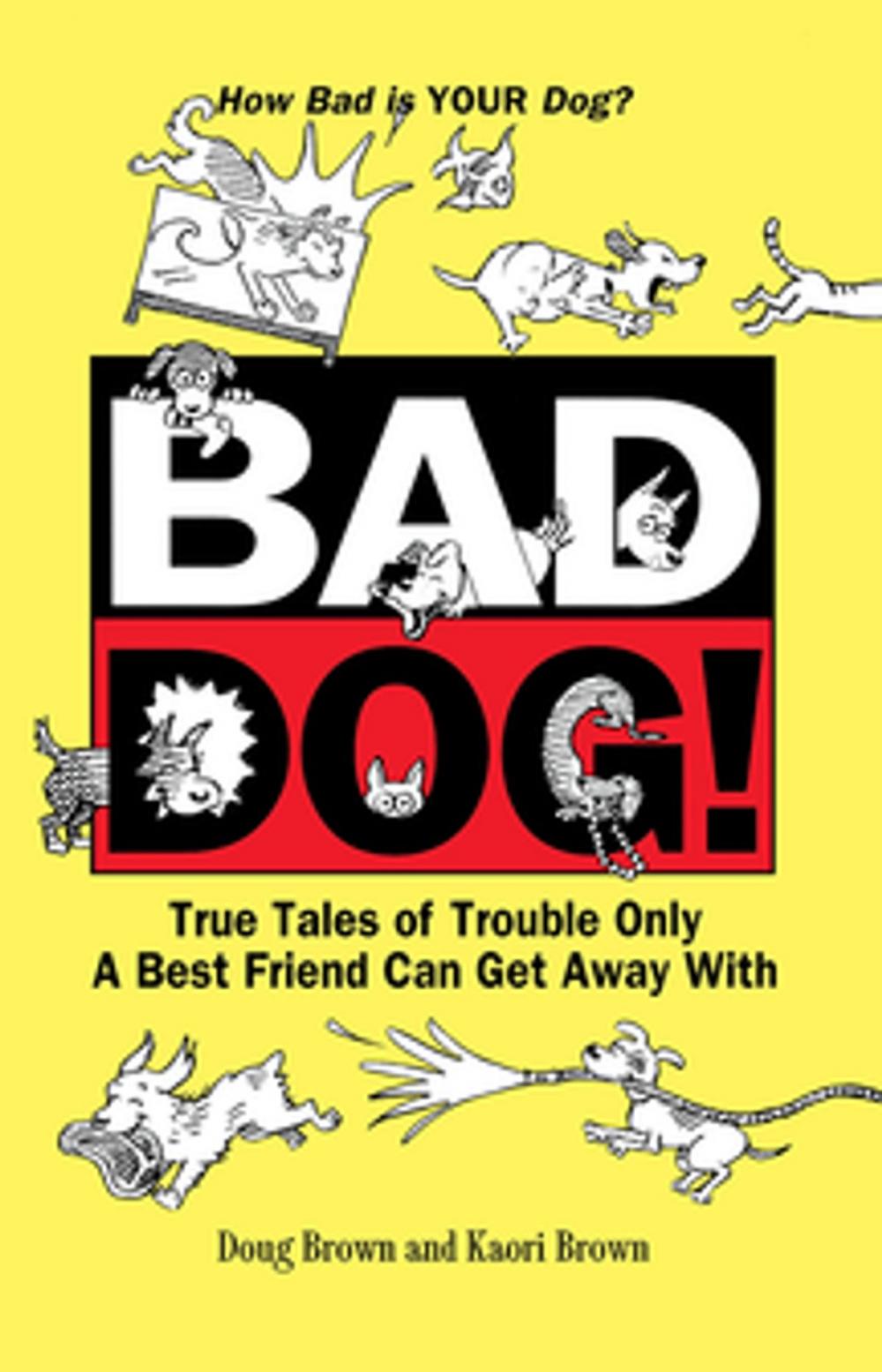 Big bigCover of Bad Dog!